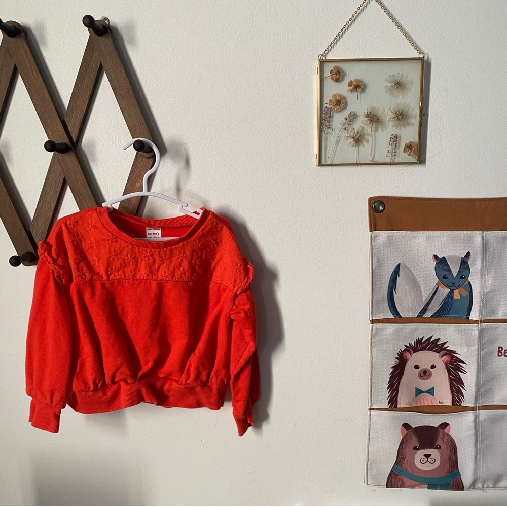 Carters Toddler Girls Red Floral Eyelet Ruffle Fleece Sweatshirt Size 3T